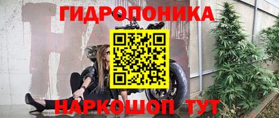 ешки Будённовск