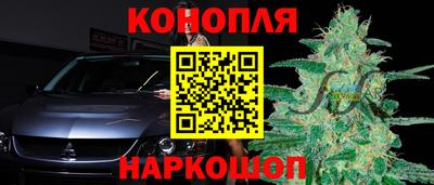 ешки Будённовск