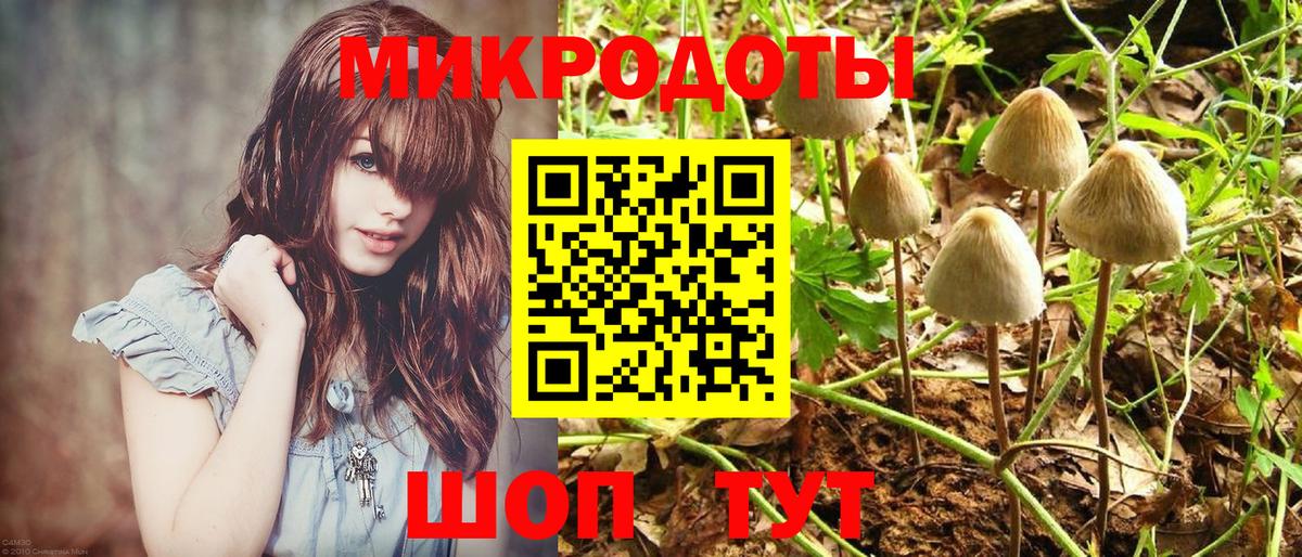 Галлюциногенные грибы мухоморы  Вход с VPN  Псилоцибиновые грибы Cubensis  Родники 